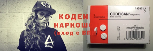apvp Вяземский
