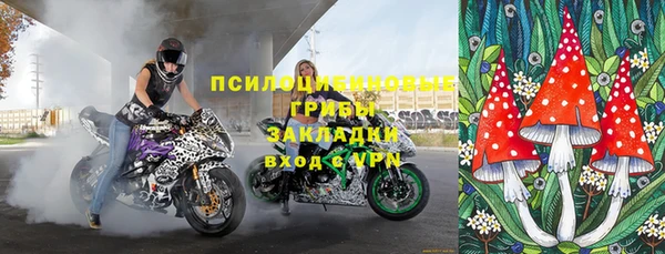 apvp Вяземский