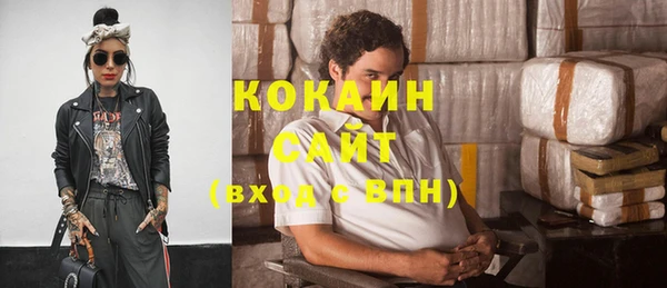 apvp Вяземский