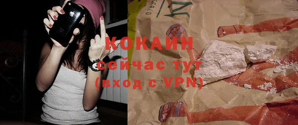 apvp Вяземский