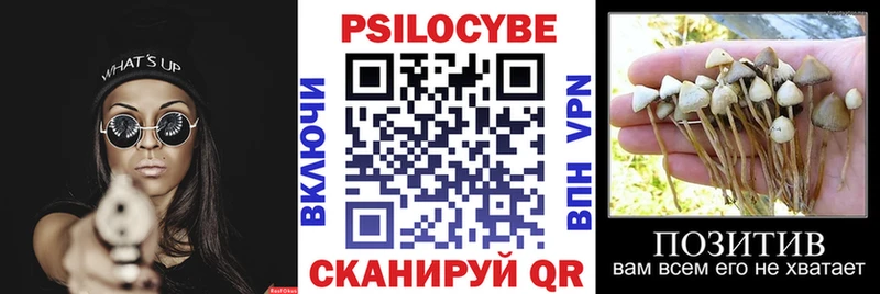 Псилоцибиновые грибы ЛСД  гидра сайт  Юрга  наркота 